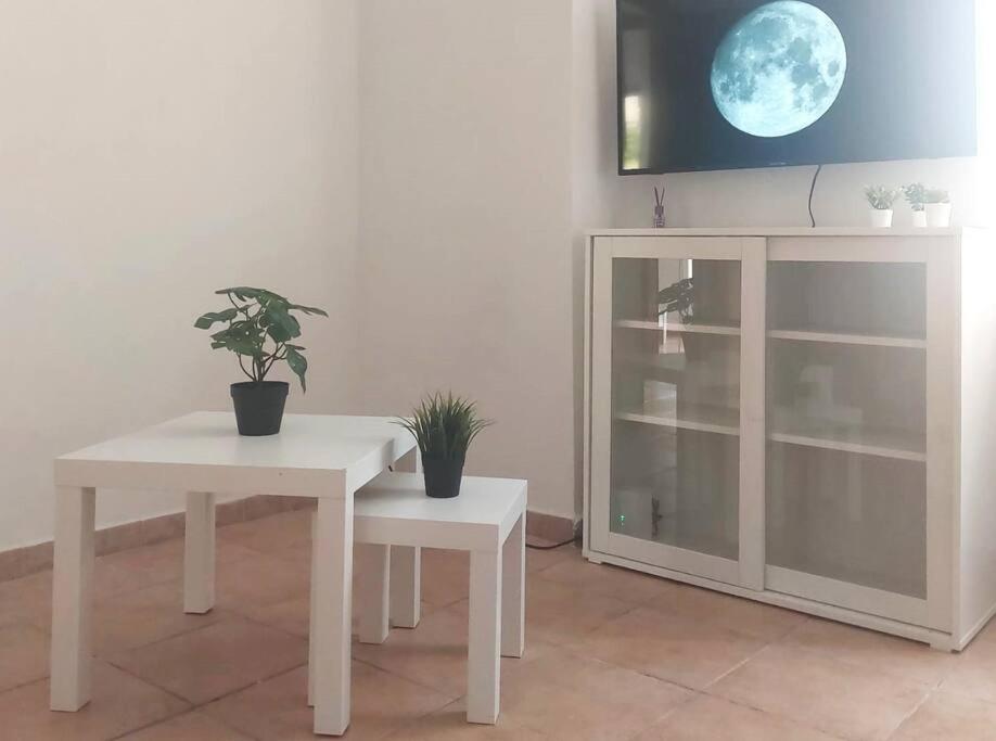 Foce24 - City Garden - Imperia Exterior foto